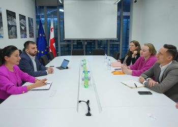 Georgian Deputy Economy Minister discusses cooperation with Wizz Air - Travel News, Insights & Resources.