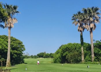 Golfers Shun Jeju Travel Abroad Instead Be Korea savvy - Travel News, Insights & Resources.