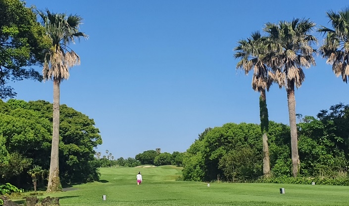 Golfers Shun Jeju Travel Abroad Instead Be Korea savvy - Travel News, Insights & Resources.