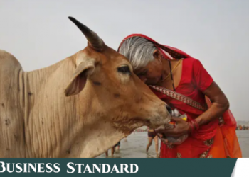 Indian government asks people to hug cows on Valentines Day - Travel News, Insights & Resources.