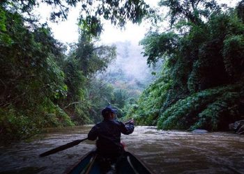 Night safari in Nam Et Phou Leuy National Park cited among - Travel News, Insights & Resources.