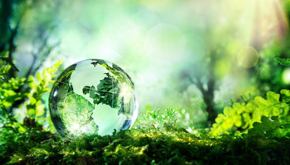 TUI for sustainability with - Travel News, Insights & Resources.