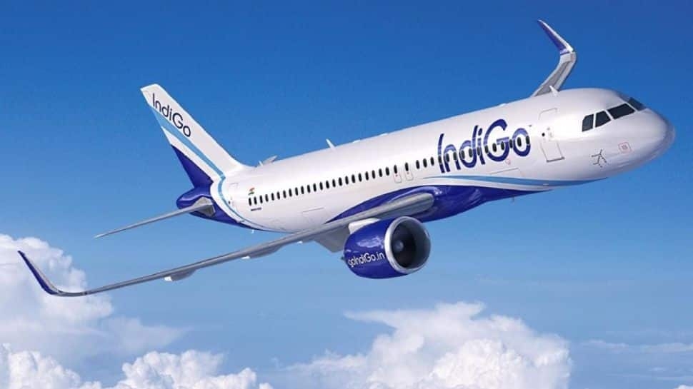 In January 2023 IndiGo continues to be the Largest Domestic - Travel News, Insights & Resources.