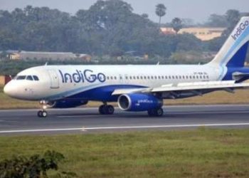 IndiGo Looking to Tap Partner Turkish Airlines For US Canada - Travel News, Insights & Resources.