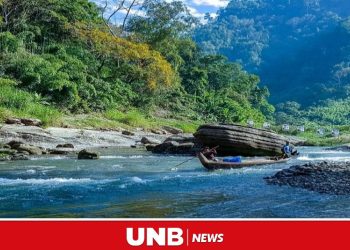 Tourism banned again in Bandarbans 3 upazilas - Travel News, Insights & Resources.