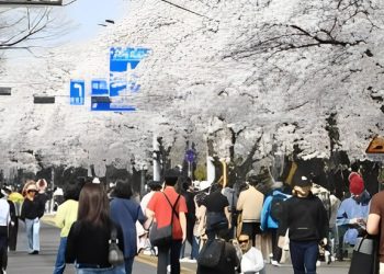 Boosting Tourism South Korea and Japan Reach Agreement - Travel News, Insights & Resources.