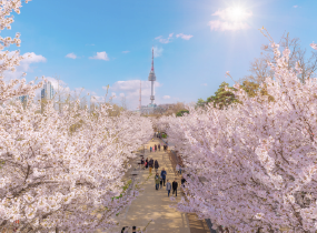 Experience K Culture in Springtime at Seoul Festa 2023 - Travel News, Insights & Resources.