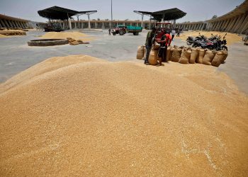 Nepal Seeks Indias Help in Easing Wheat Export Quota Restrictions - Travel News, Insights & Resources.