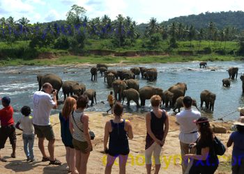 Sri Lanka to develop an app for tourist site ticketing - Travel News, Insights & Resources.