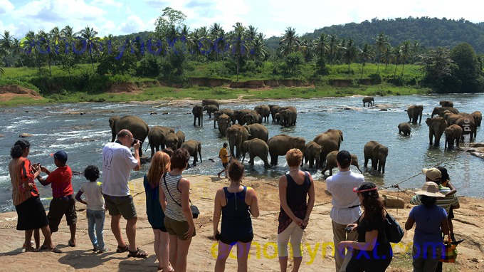 Sri Lanka to develop an app for tourist site ticketing - Travel News, Insights & Resources.