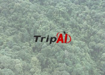 TripAI Move Towards a Sustainable Future With Status and Emissions.jpgkeepProtocol - Travel News, Insights & Resources.