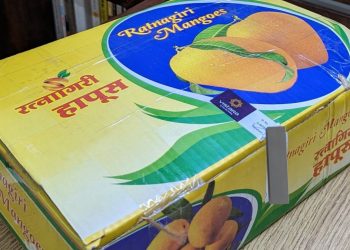 Vistara Provides a New Box of Mangoes to a Passenger - Travel News, Insights & Resources.