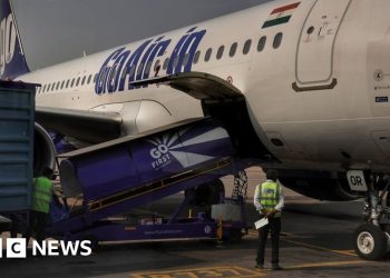 BBC News Flights Cancelled by Indias Go First Following Bankruptcy - Travel News, Insights & Resources.