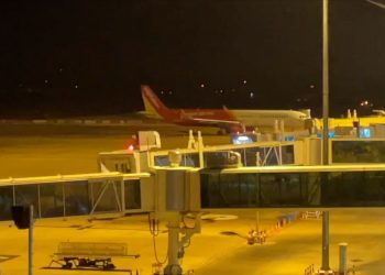 Bird collision delays Thai Vietjet flight 159 passengers affected at - Travel News, Insights & Resources.