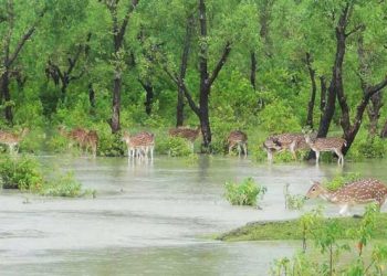 Blue Tourism Spurs Development Goals in Bangladesh - Travel News, Insights & Resources.