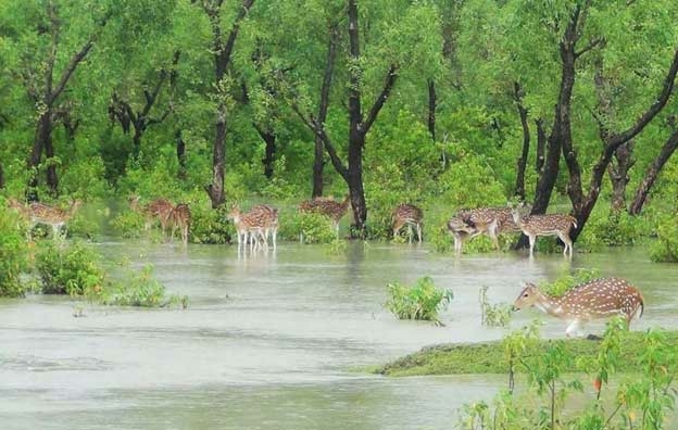 Blue Tourism Spurs Development Goals in Bangladesh - Travel News, Insights & Resources.