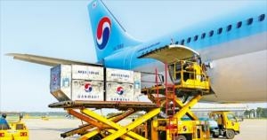 Korean Air Faces Challenges with Merger Amid Falling Air Freight - Travel News, Insights & Resources.