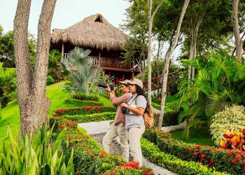 Yachay Tayrona El hospedaje ideal en el Parque Tayrona - Travel News, Insights & Resources.