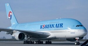 Glass Shard Found in Korean Air In Flight Coffee - Travel News, Insights & Resources.