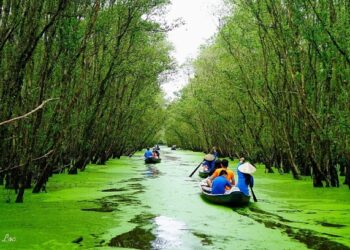 Poor infrastructure hinders Mekong Delta tourism development experts VnExpress - Travel News, Insights & Resources.