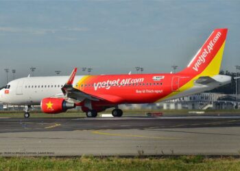 Rats On The Plane VietJet Passengers Smuggled Exotic Animals Break - Travel News, Insights & Resources.