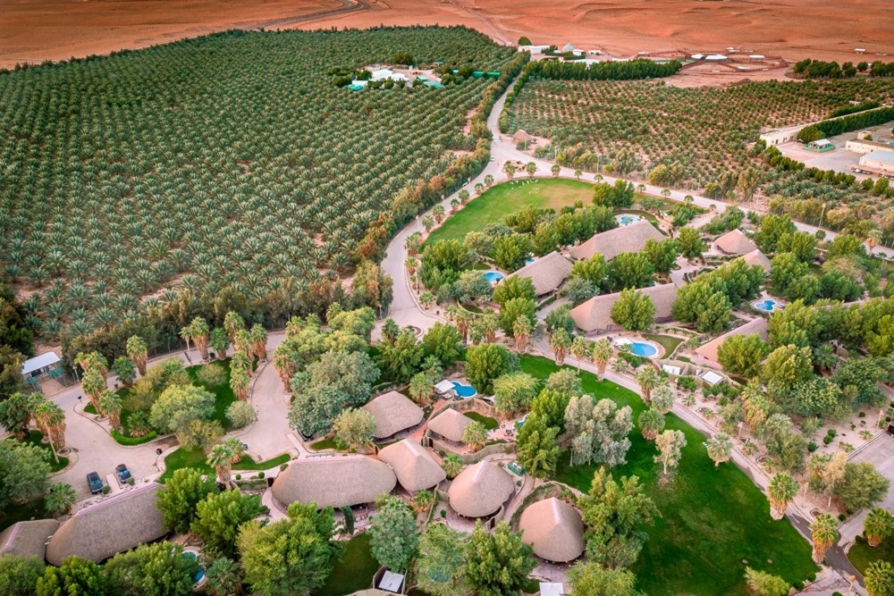 eco friendly tourism in saudi arabia2 - Travel News, Insights & Resources.