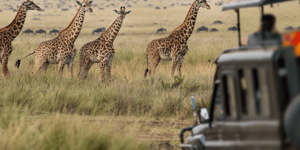 Back to business as African destinations switch to growth mode - Travel News, Insights & Resources.