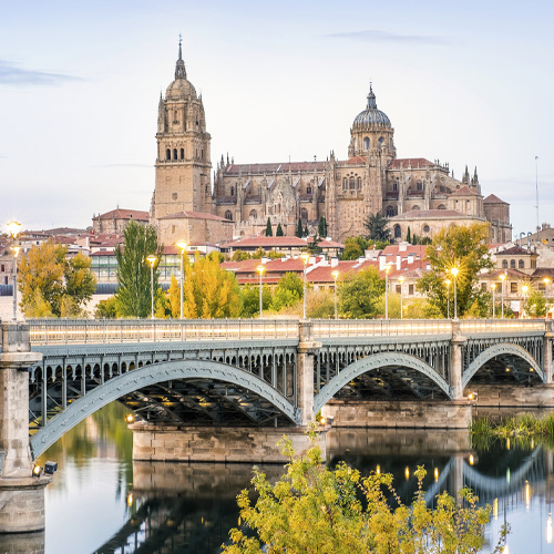 Salamanca To Host The First Unwto International Seminar On Tourism - Travel News, Insights & Resources.