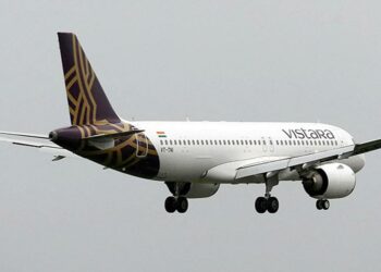 Stray dog enters Goa airport runway forces Vistara flight to - Travel News, Insights & Resources.