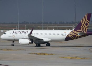 Stray dog on runway in Goa forces Vistara flight to - Travel News, Insights & Resources.