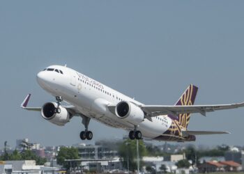 Vistara Airbus A320 Turns Back After Dog Spotted At Goa - Travel News, Insights & Resources.