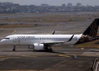 Vistara flight forced to return to Bengaluru as stray dog - Travel News, Insights & Resources.