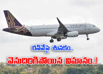 Vistara రన్‌వేపై శునకం గోవాలో దిగాల్సిన విమానం తిరిగి బెంగళూరుకే - Travel News, Insights & Resources.