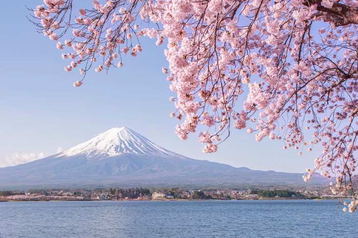 fuji japan 3280 - Travel News, Insights & Resources.