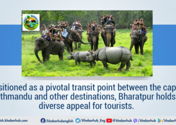 Bharatpur Tourism Year Will it hold diverse appeal for tourists - Travel News, Insights & Resources.