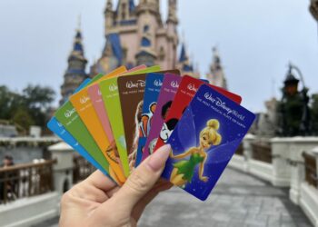 Disney Tickets in 2024 Park Hopper vs One Park - Travel News, Insights & Resources.