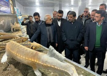 Inauguration of sturgeon fishery museum celebrates Irans aquatic heritage - Travel News, Insights & Resources.