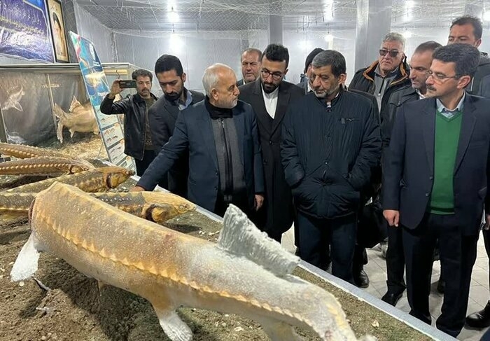 Inauguration of sturgeon fishery museum celebrates Irans aquatic heritage - Travel News, Insights & Resources.