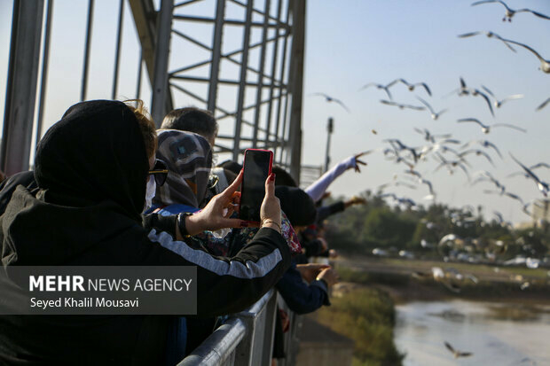 Khuzestan hosts its first green tourism conference - Travel News, Insights & Resources.