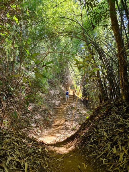 TadPeung 03 A Soft Hiking Trail to Tad Phueng Waterfall - Travel News, Insights & Resources.