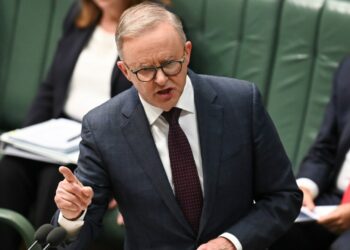 Anthony Albanese ‘misled parliament and Australians over Qatar Airways issue - Travel News, Insights & Resources.