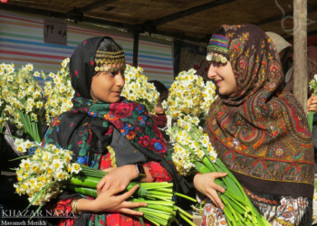 Daffodil Extravaganza Unfolds In Irans Juibar Mazandaran Province Iran - Travel News, Insights & Resources.