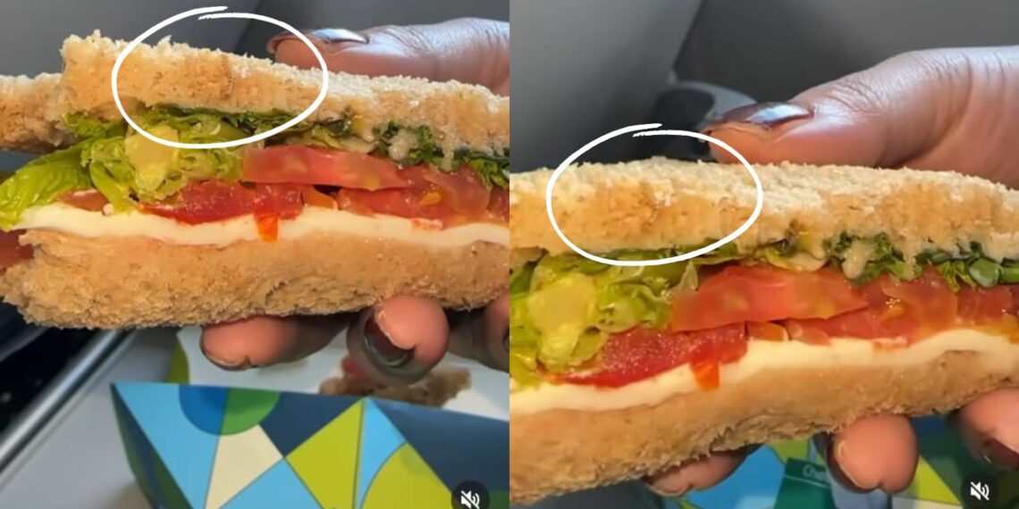 IndiGo passenger finds worm in sandwich served onboard Delhi Mumbai flight - Travel News, Insights & Resources.