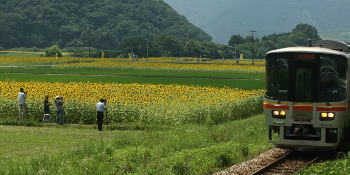 Japan travel book offers inspired insights via slow trains - Travel News, Insights & Resources.