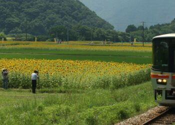 Japan travel book offers inspired insights via slow trains - Travel News, Insights & Resources.