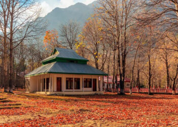 PTDC announces Tourism Education Conference in coming month Daily - Travel News, Insights & Resources.