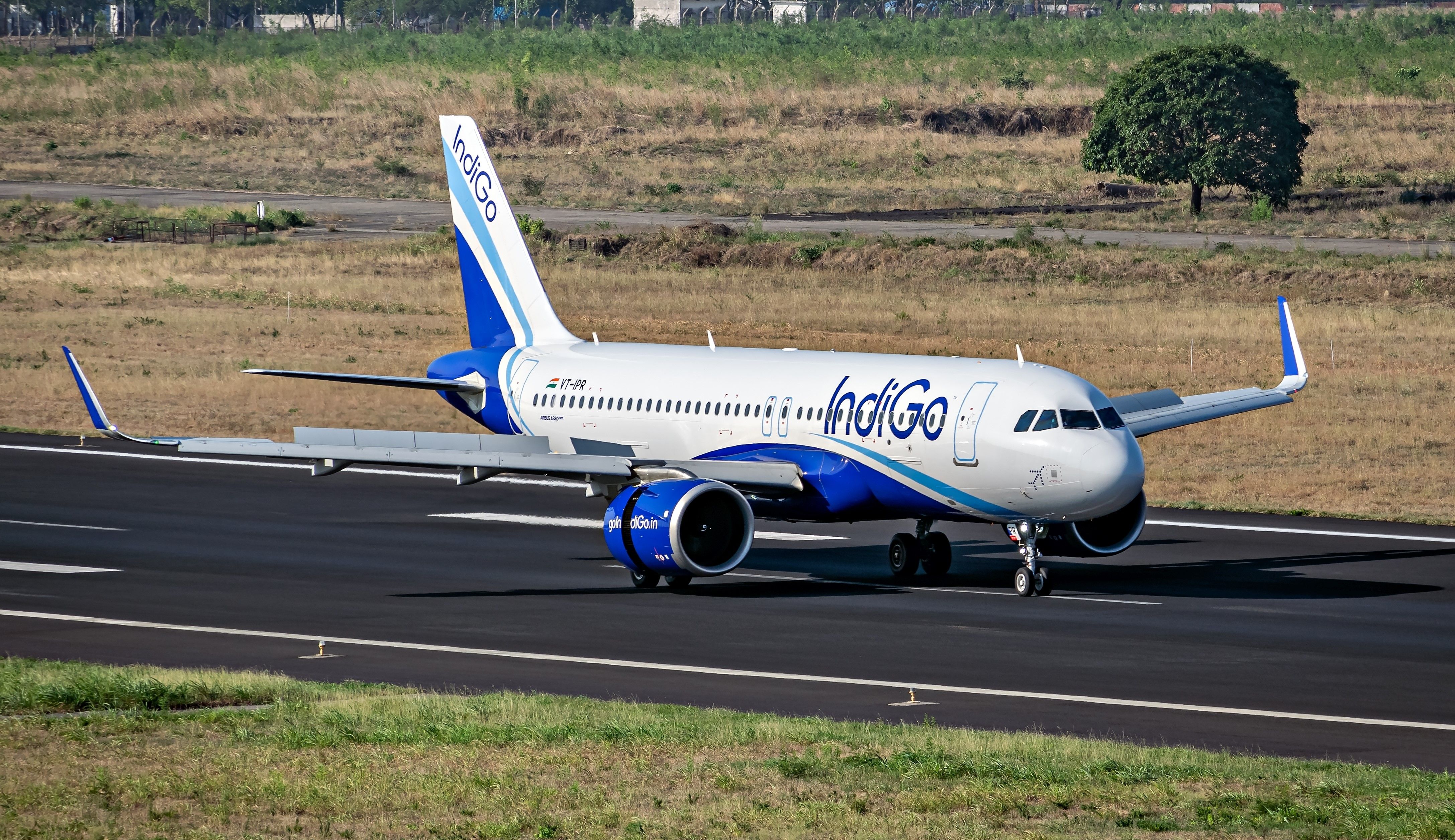 IndiGo Airbus A320