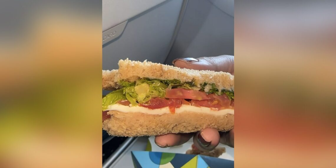 Passenger Finds Worm In Sandwich Served By IndiGo Airline Issues - Travel News, Insights & Resources.