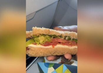 Passenger Finds Worm In Sandwich Served By IndiGo Airline Issues - Travel News, Insights & Resources.