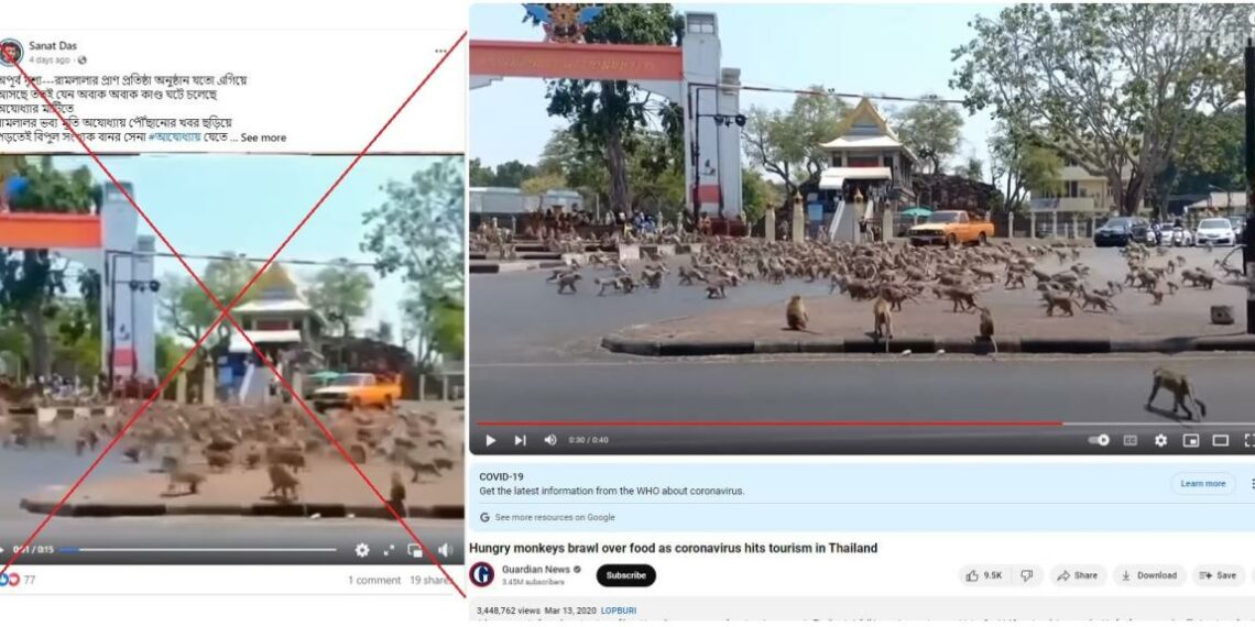 Video of monkeys in Thailand falsely linked to Indias controversial - Travel News, Insights & Resources.